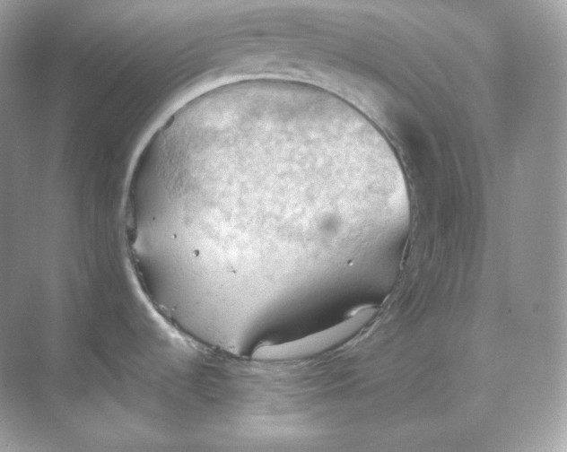 X0000068741536200605192332