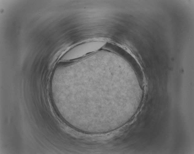 X0000068740001200605262102