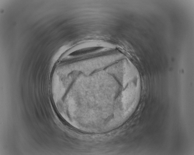 X0000068740003200605262102