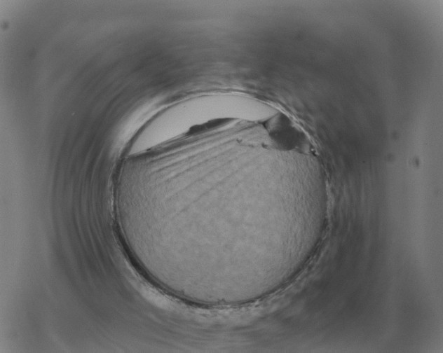 X0000068740005200605262102