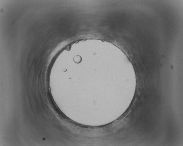 X0000068740008200605262102