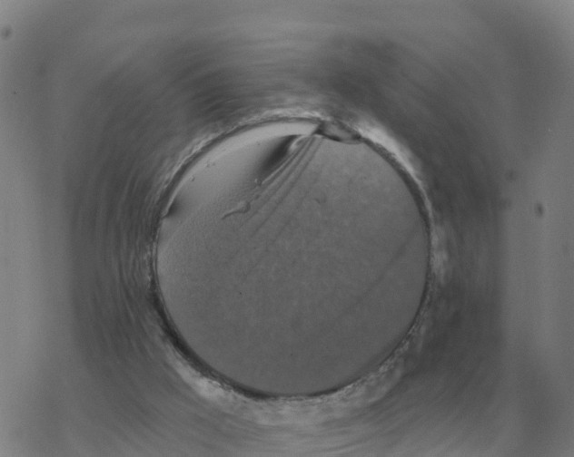 X0000068740009200605262102