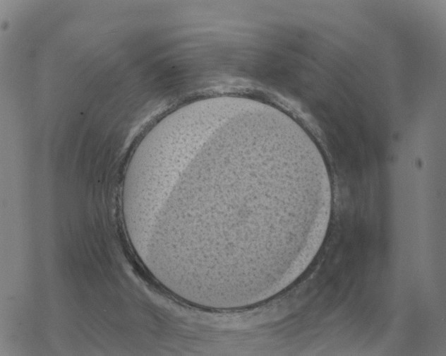 X0000068740010200605262102