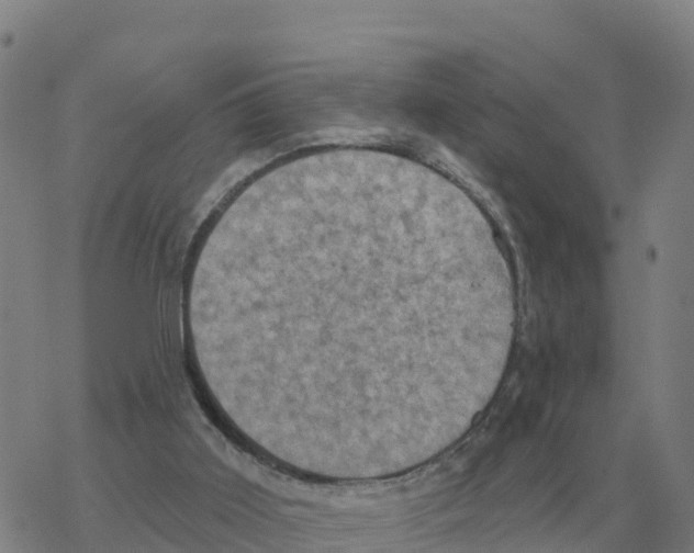 X0000068740011200605262102