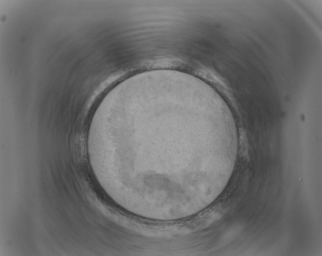 X0000068740012200605262102