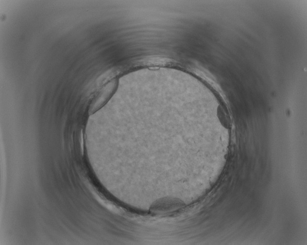 X0000068740013200605262102