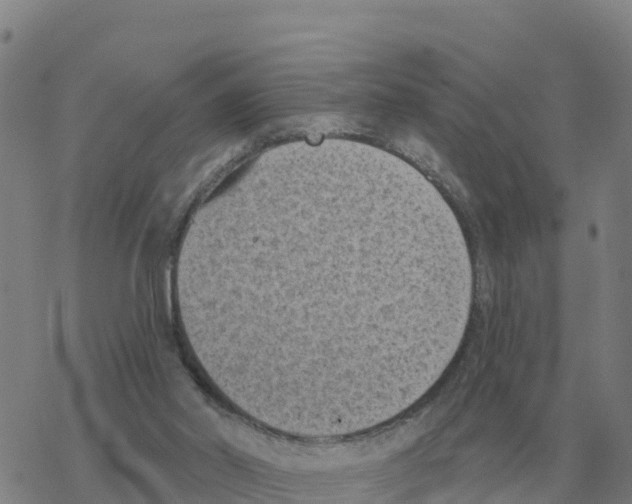 X0000068740014200605262102