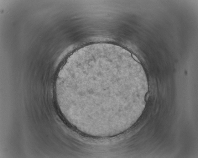 X0000068740015200605262102