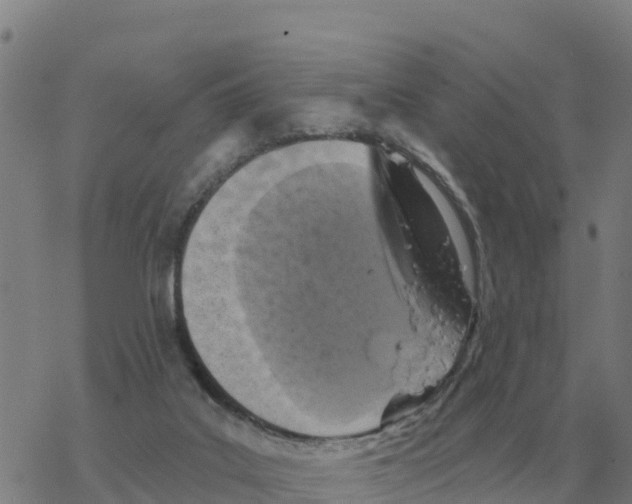 X0000068740019200605262102