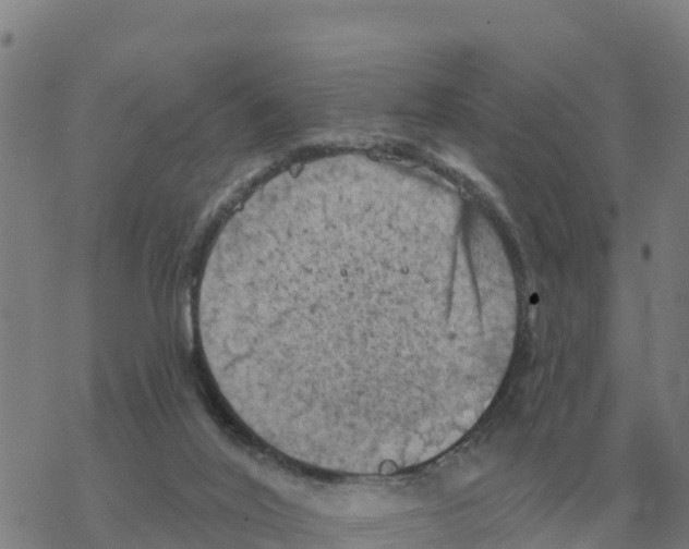 X0000068740020200605262102