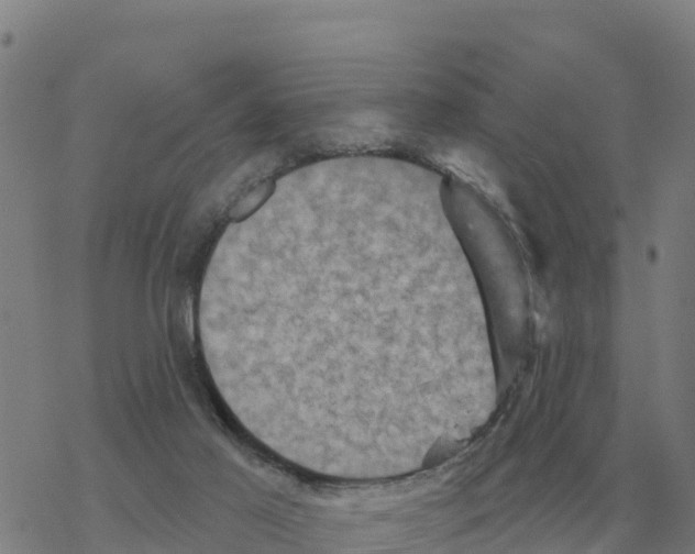 X0000068740021200605262102