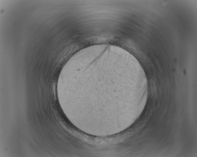 X0000068740022200605262102