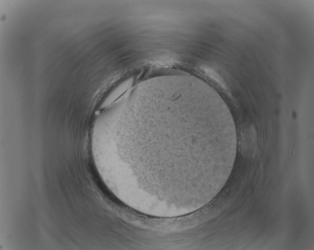 X0000068740023200605262102