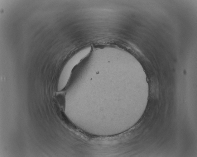 X0000068740025200605262102