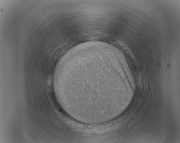 X0000068740026200605262102