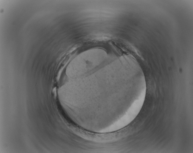 X0000068740027200605262102