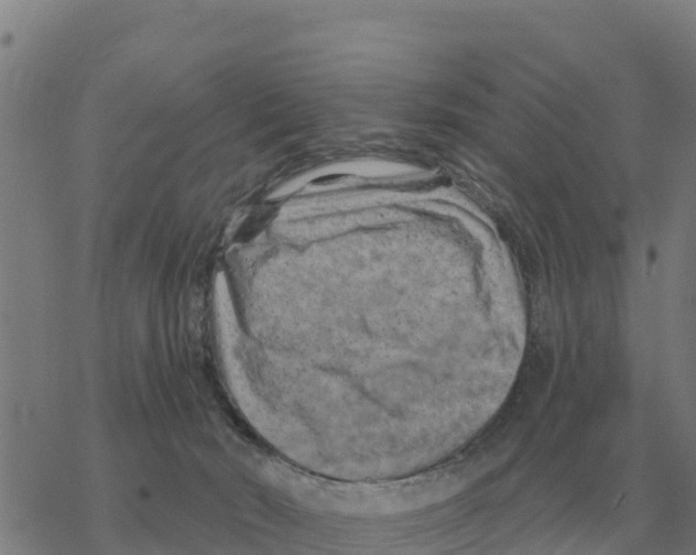 X0000068740030200605262102