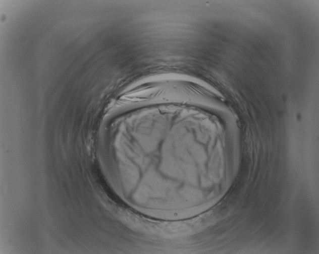 X0000068740031200605262102