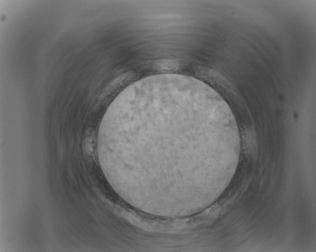 X0000068740032200605262102