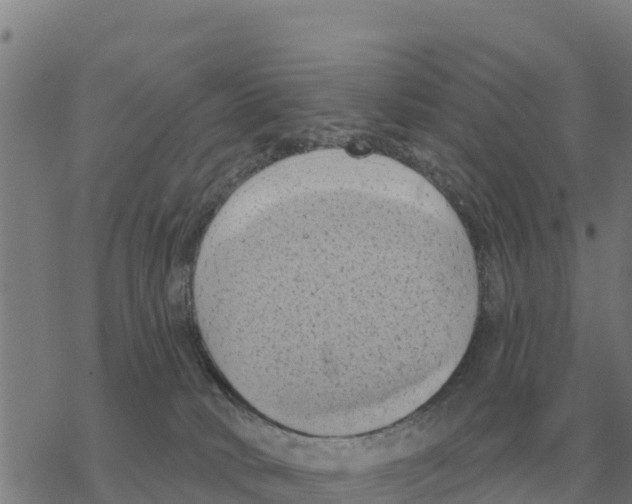 X0000068740034200605262102