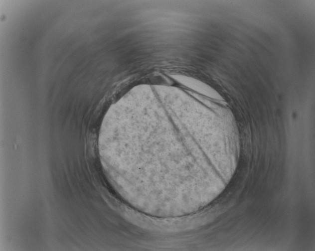 X0000068740038200605262102