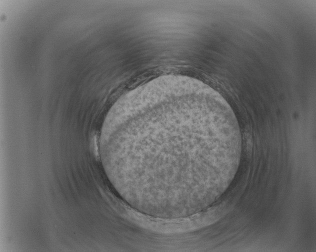 X0000068740042200605262102