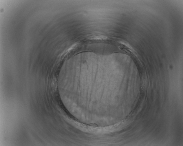 X0000068740043200605262102