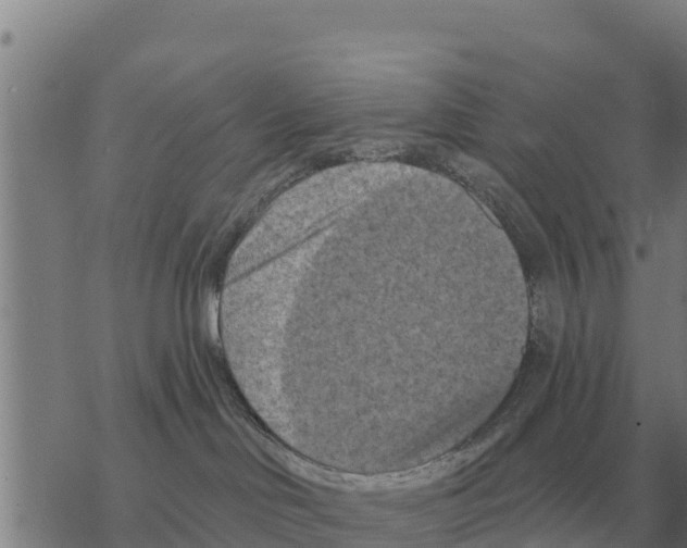 X0000068740046200605262102