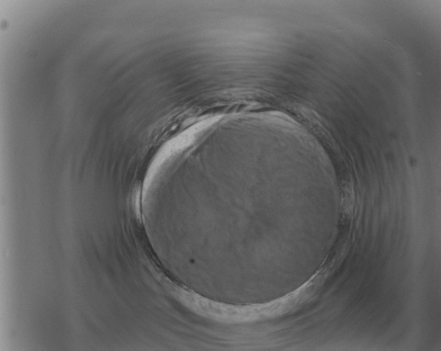 X0000068740047200605262102