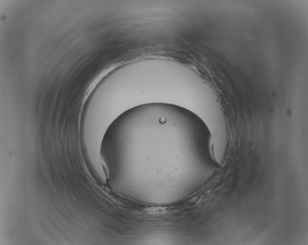 X0000068740052200605262101