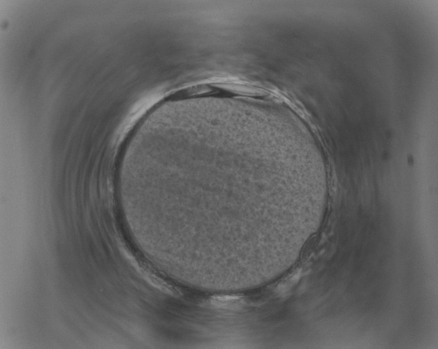 X0000068740055200605262101