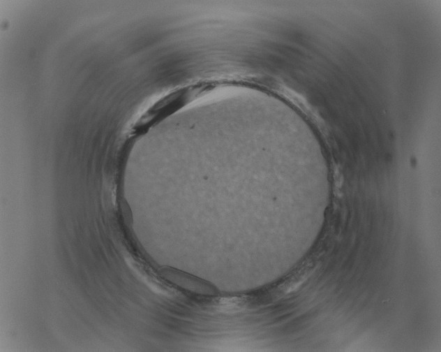 X0000068740060200605262101