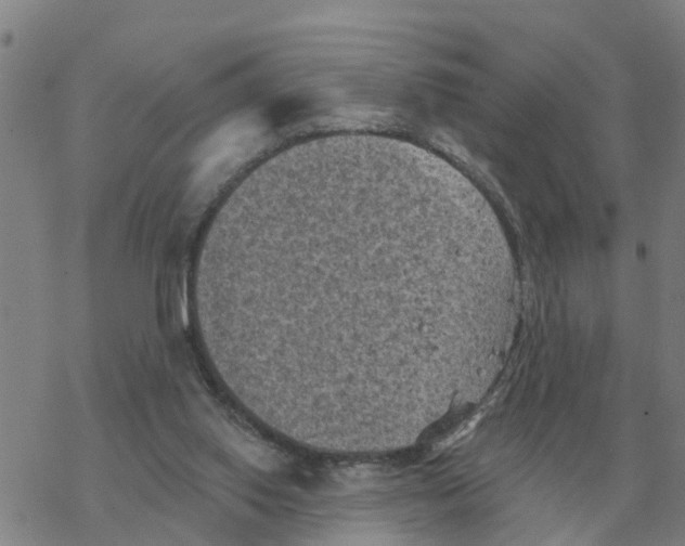 X0000068740062200605262101