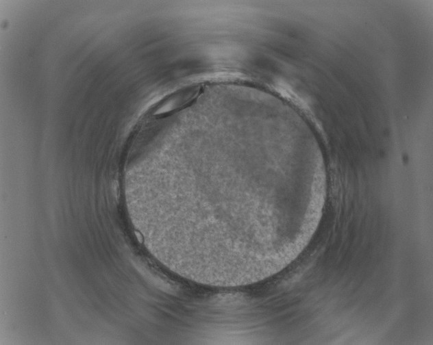 X0000068740063200605262101