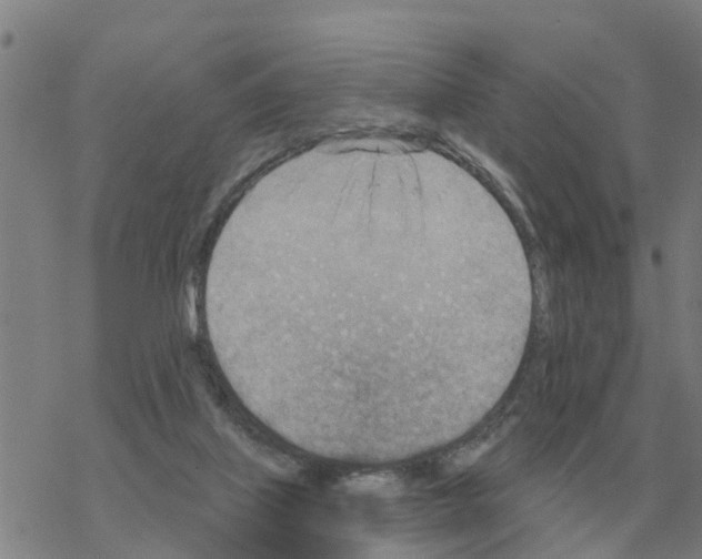 X0000068740067200605262101