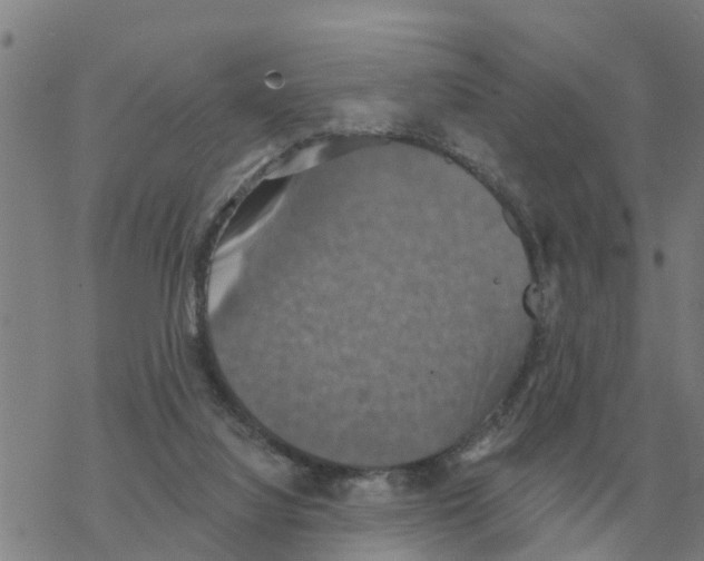 X0000068740068200605262101