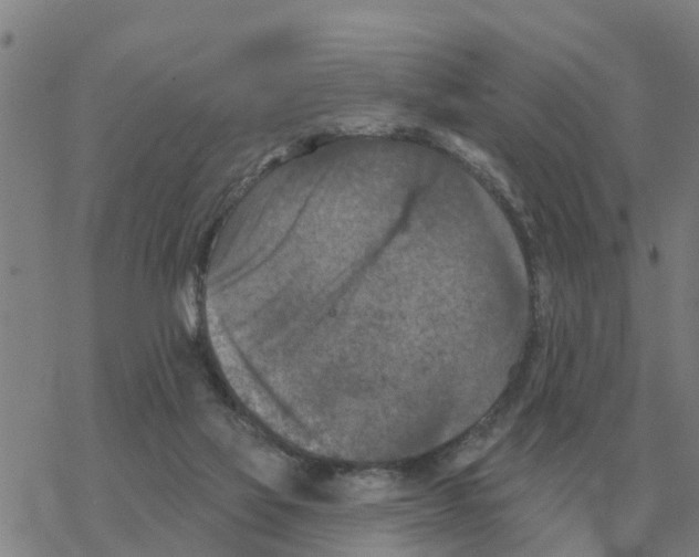 X0000068740069200605262101