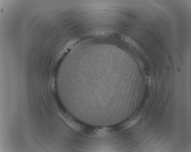 X0000068740072200605262101