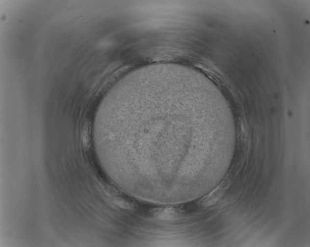 X0000068740074200605262101