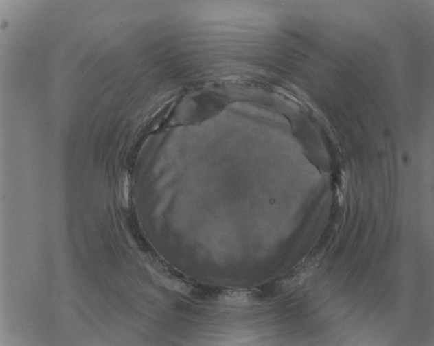 X0000068740076200605262101