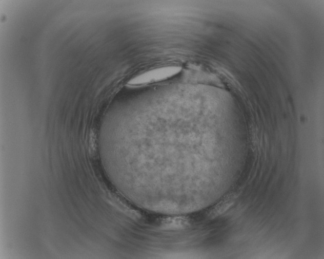 X0000068740077200605262101