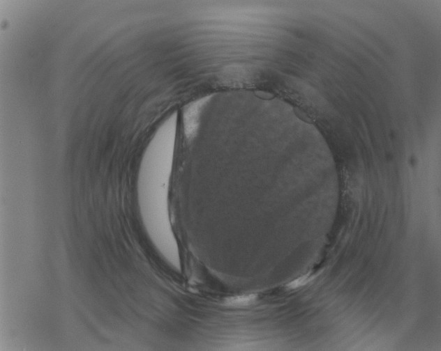 X0000068740080200605262101