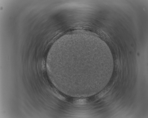 X0000068740081200605262101