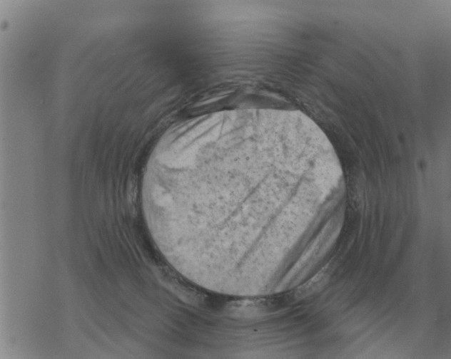 X0000068740082200605262101