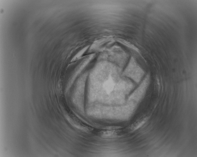 X0000068740088200605262101