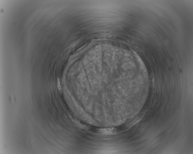 X0000068740089200605262101