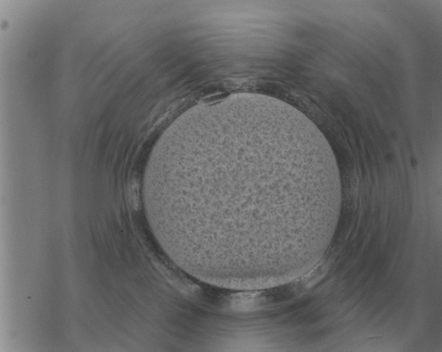 X0000068740090200605262101