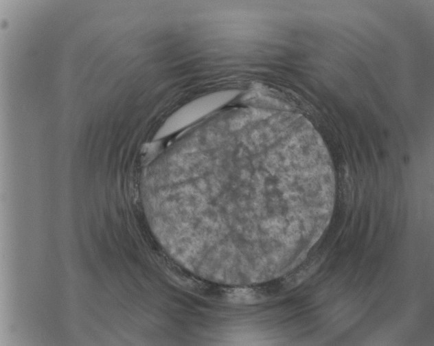 X0000068740091200605262101