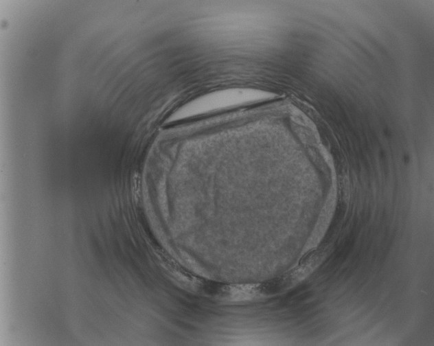 X0000068740093200605262101