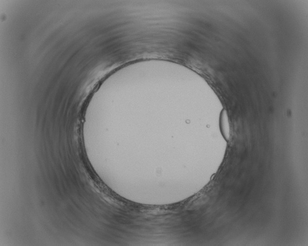 X0000068740098200605262101